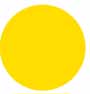 58 goldcrest yellow