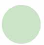 65 leafbird green